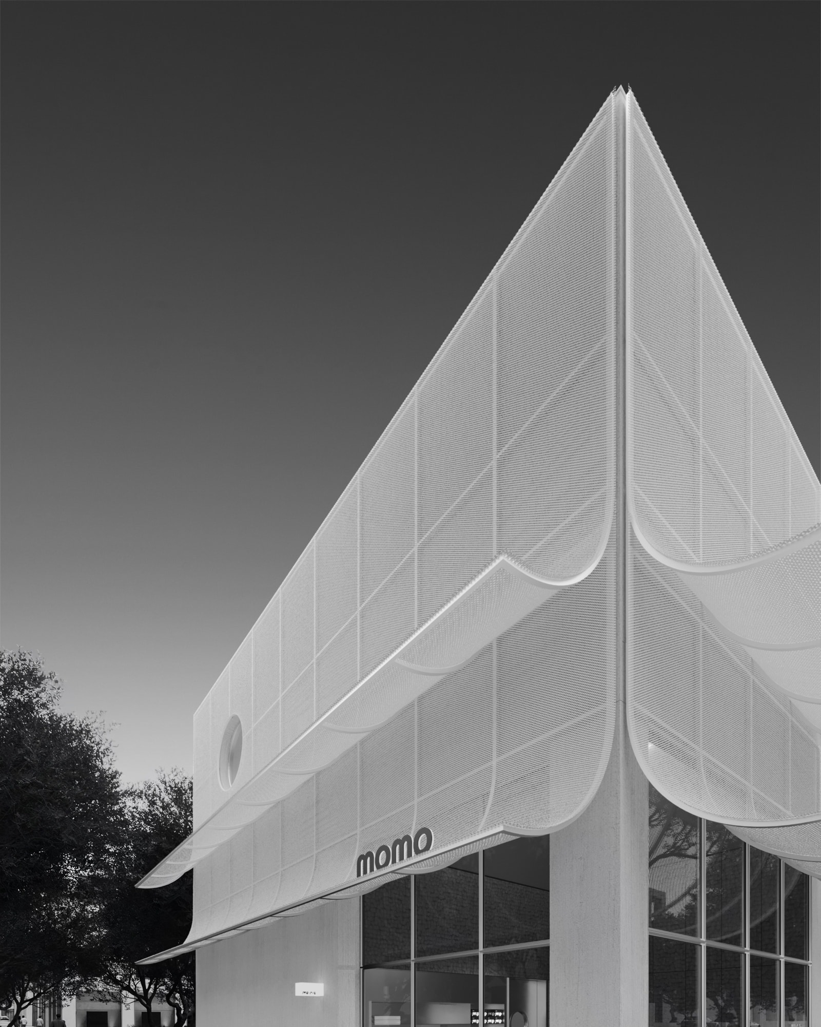 Momo, image 1 of 11